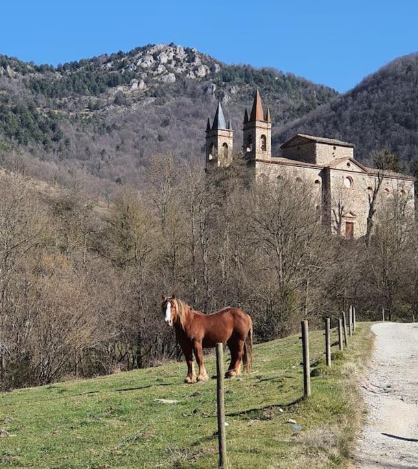 El Mussol De La Vila Camprodon, Balconets Amb Vistes A La Placa Exteriör bild